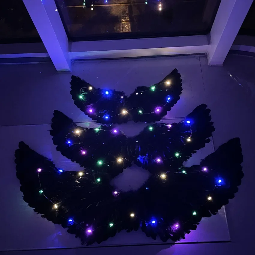 Ailes de Démon Lumineuses - Image 3